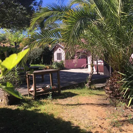 Grande Cap Ferret Cote Bassin Ref 209 *