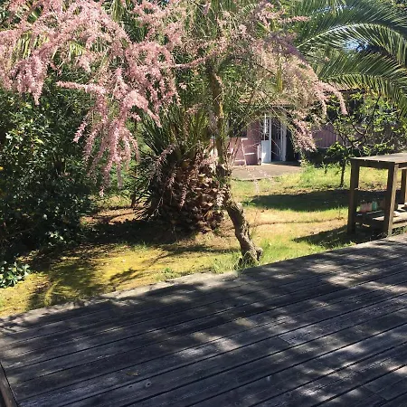 Villa Grande Cap Ferret Cote Bassin Ref 209 Lège-Cap-Ferret