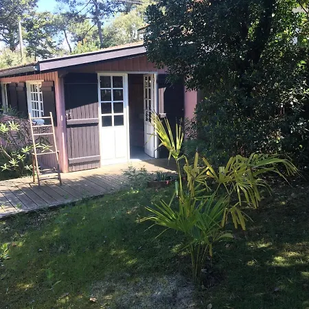 Villa Grande Cap Ferret Cote Bassin Ref 209