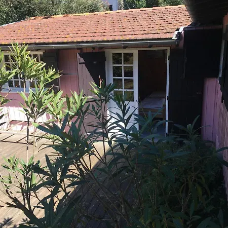 Villa Grande Cap Ferret Cote Bassin Ref 209 *